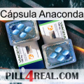 Cápsula Anaconda viagra5